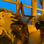 Dottie's Place * 빈터베르크