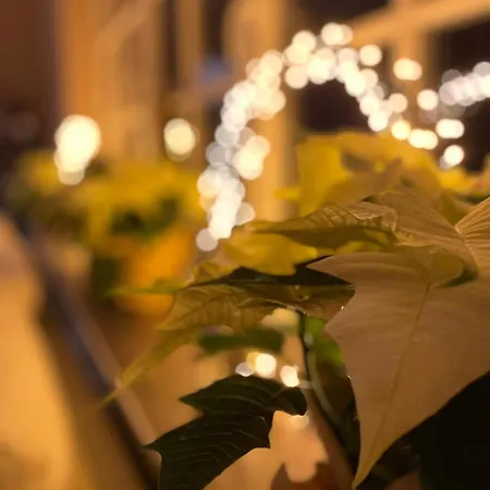 Dottie's Place Lejlighed *