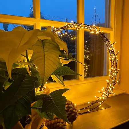 Dottie's Place Apartment *
