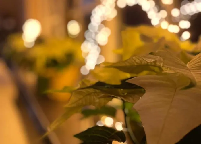 Dottie's Place Lejlighed *