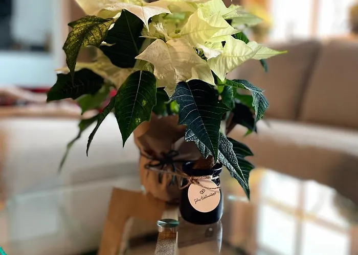 Dottie's Place Winterberg