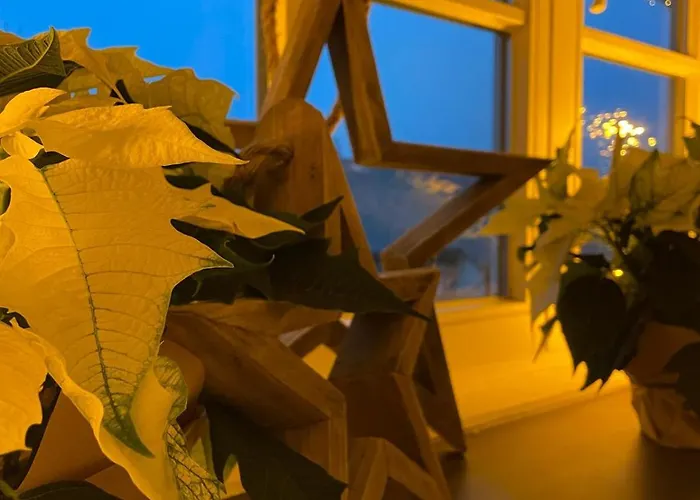 Dottie's Place * Winterberg