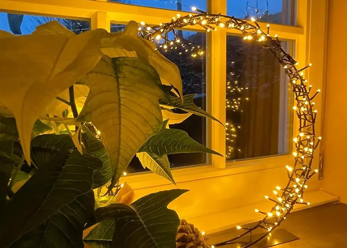 Dottie's Place Lejlighed *