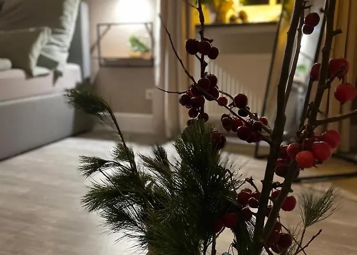 Dottie's Place * Winterberg